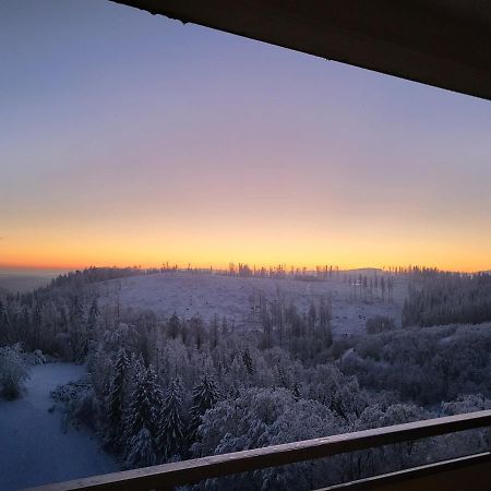 Appartement Zur Bergoase Mi Schwimmbad Hohegeiß 外观 照片