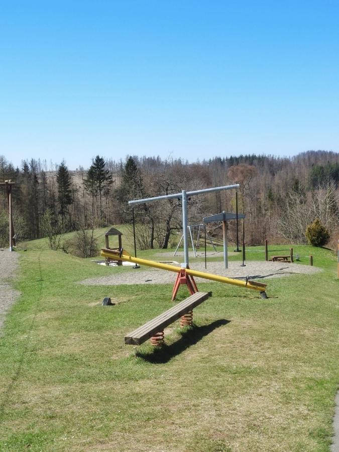 Appartement Zur Bergoase Mi Schwimmbad Hohegeiß 外观 照片