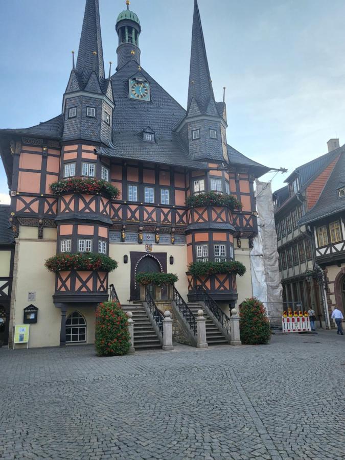 Appartement Zur Bergoase Mi Schwimmbad Hohegeiß 外观 照片