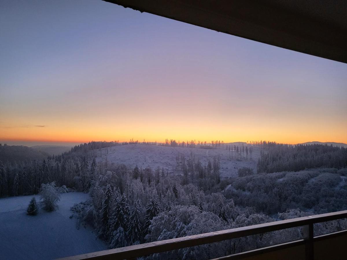 Appartement Zur Bergoase Mi Schwimmbad Hohegeiß 外观 照片
